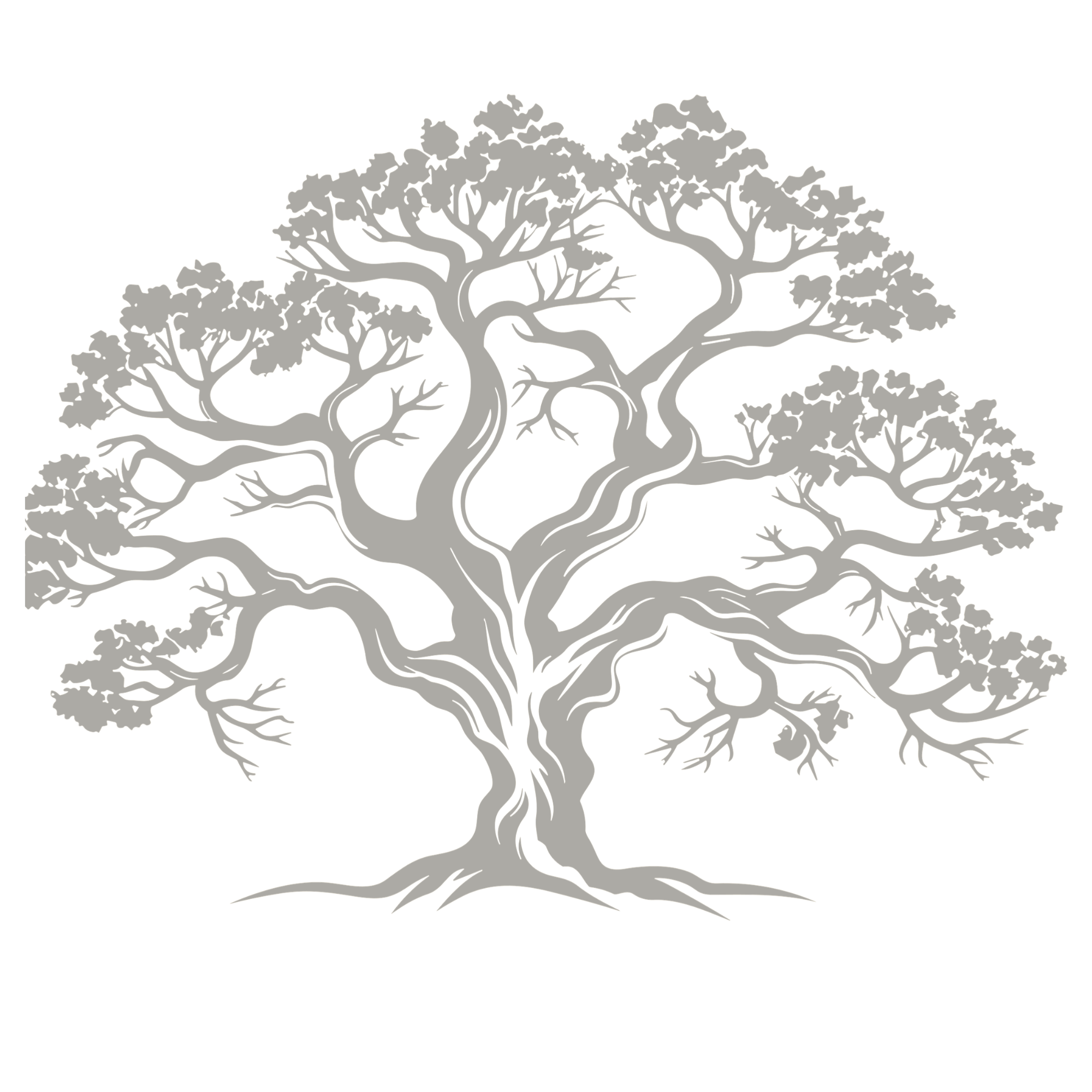 Live Oak Home Cleaning