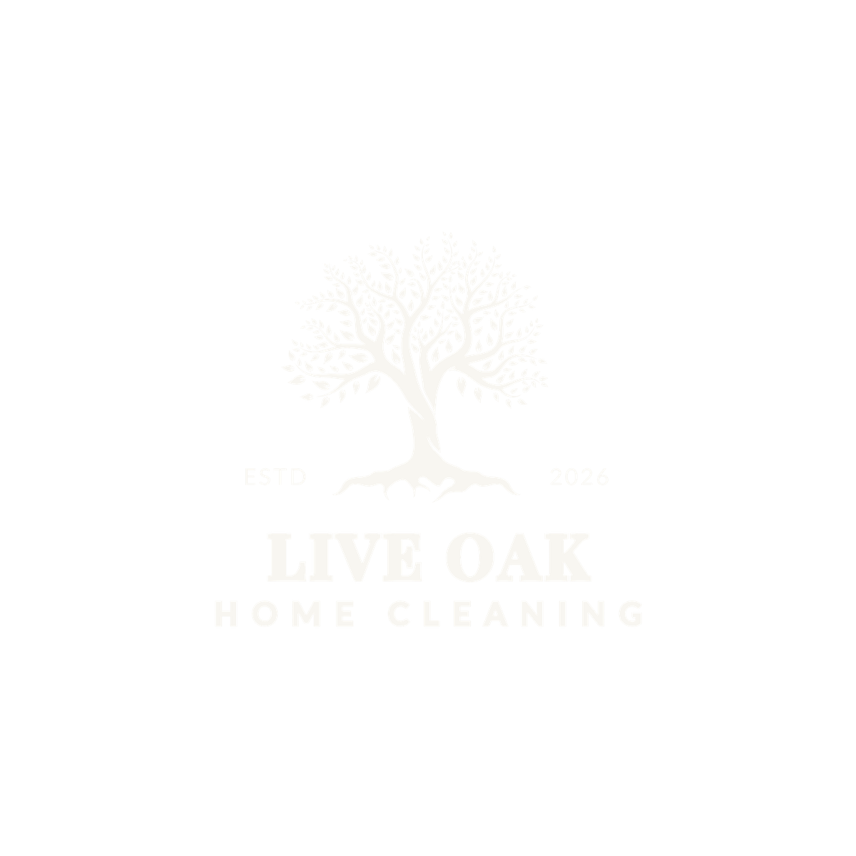Live Oak Home Cleaning